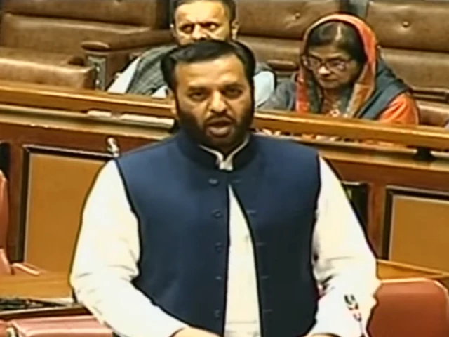 NA approves special probe for PIMS tragedy, Kamal vows no one responsible will be spared
