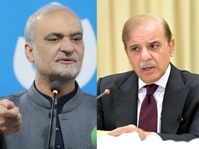 PM Shehbaz calls JI chief, asks to postpone Islamabad march