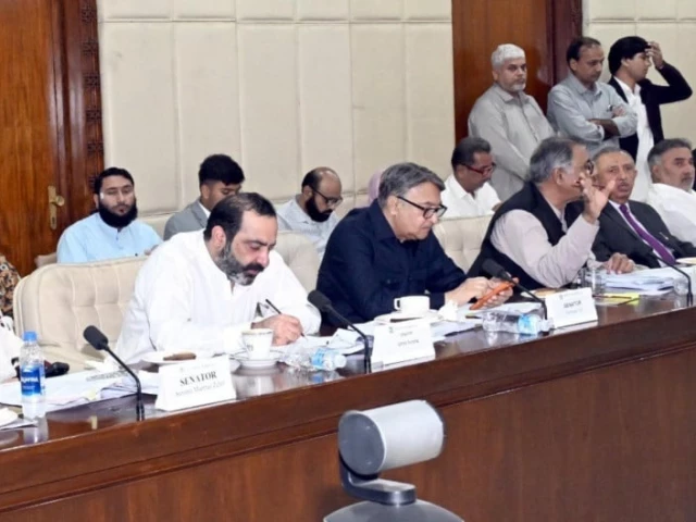 Senate panel approves death penalty for perpetrators of acid attacks