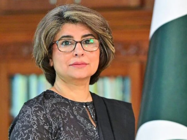 Amna Baloch retires as foreign secretary