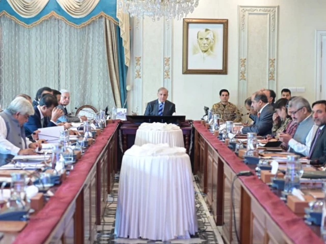 PM Shehbaz approves establishment of Trade Facilitation Board to streamline cross-border trade
