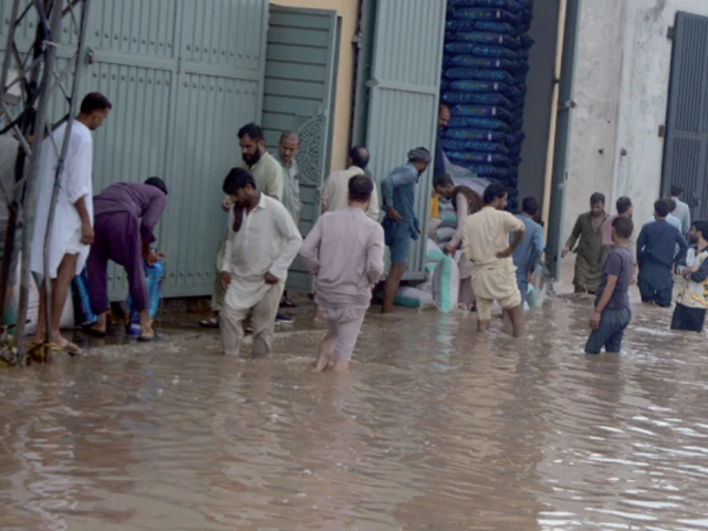 Flood risk rises across Pakistan as rain expected until Sept 17: NDMA