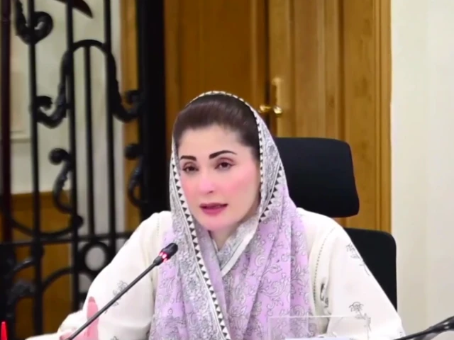 Uproar as CM Maryam’s ‘chauvinistic’ remarks cause controversy over provincial divide