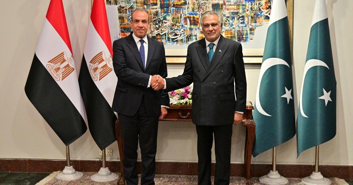 سعودی عرب پر حوثی حملوں کی پاکستان اور مصر کی مذمت