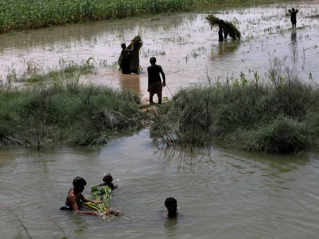 Pakistan to host UN conference on space technology for disaster warnings, climate action: SUPARCO