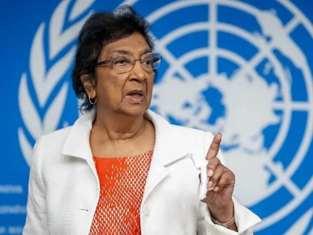 ‘You’re not alone, the truth will come out’: Nobel winner Navi Pillay on global support for Palestinians