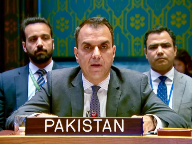 Pakistan condemns Houthi attacks on Saudi Arabia, calls for immediate halt at UN
