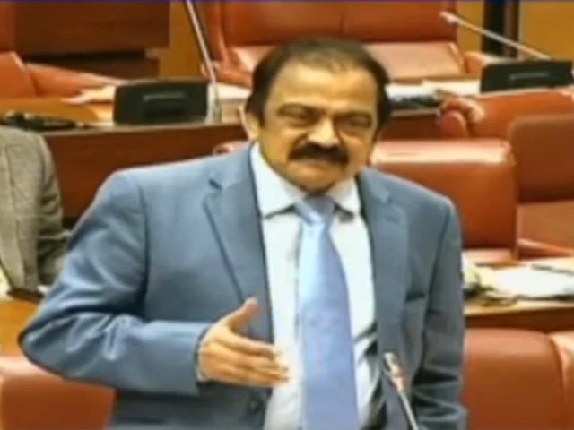 Govt will try to ensure PTI leader Noreen’s relatives can visit her, says Rana Sanaullah