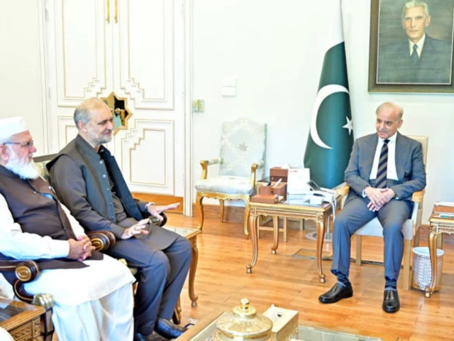 Govt, JI negotiating committees to meet over petroleum levy tomorrow