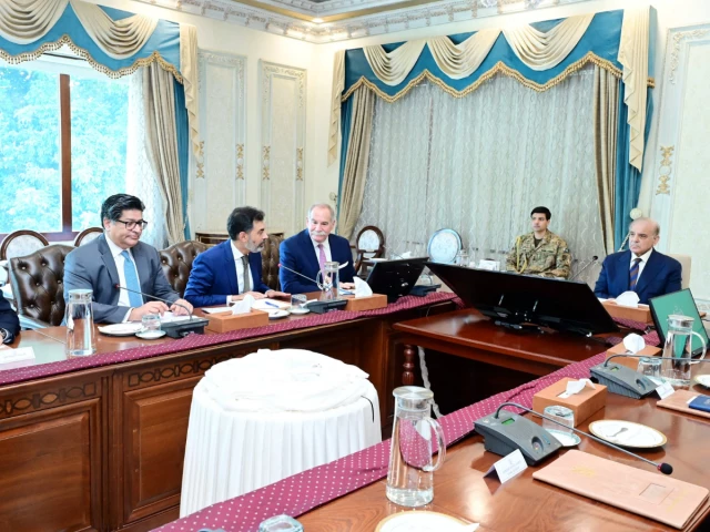 PM Shehbaz calls for ‘accountability’ in partnerships with international consultants